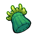 Anemone