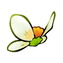 Bidens