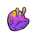 Snail Shell