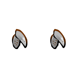 Larva
