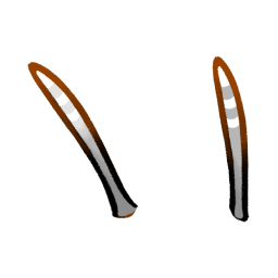 Tassels