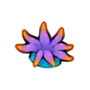 Anemone