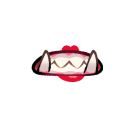 Geisha
