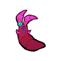 Earwig