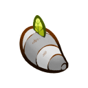 Hare