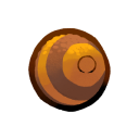Pupae