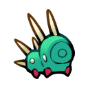 Thorny Caterpillar